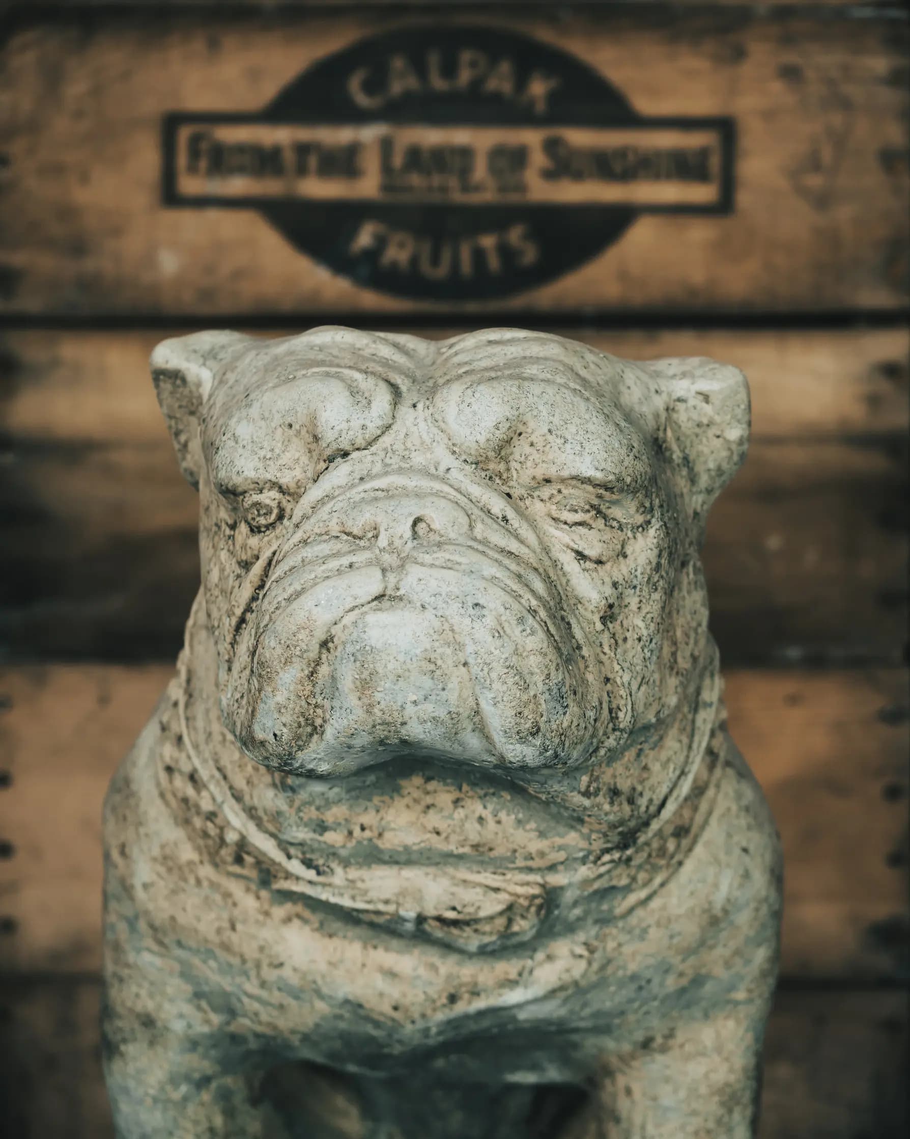 Sitting dog statue close up