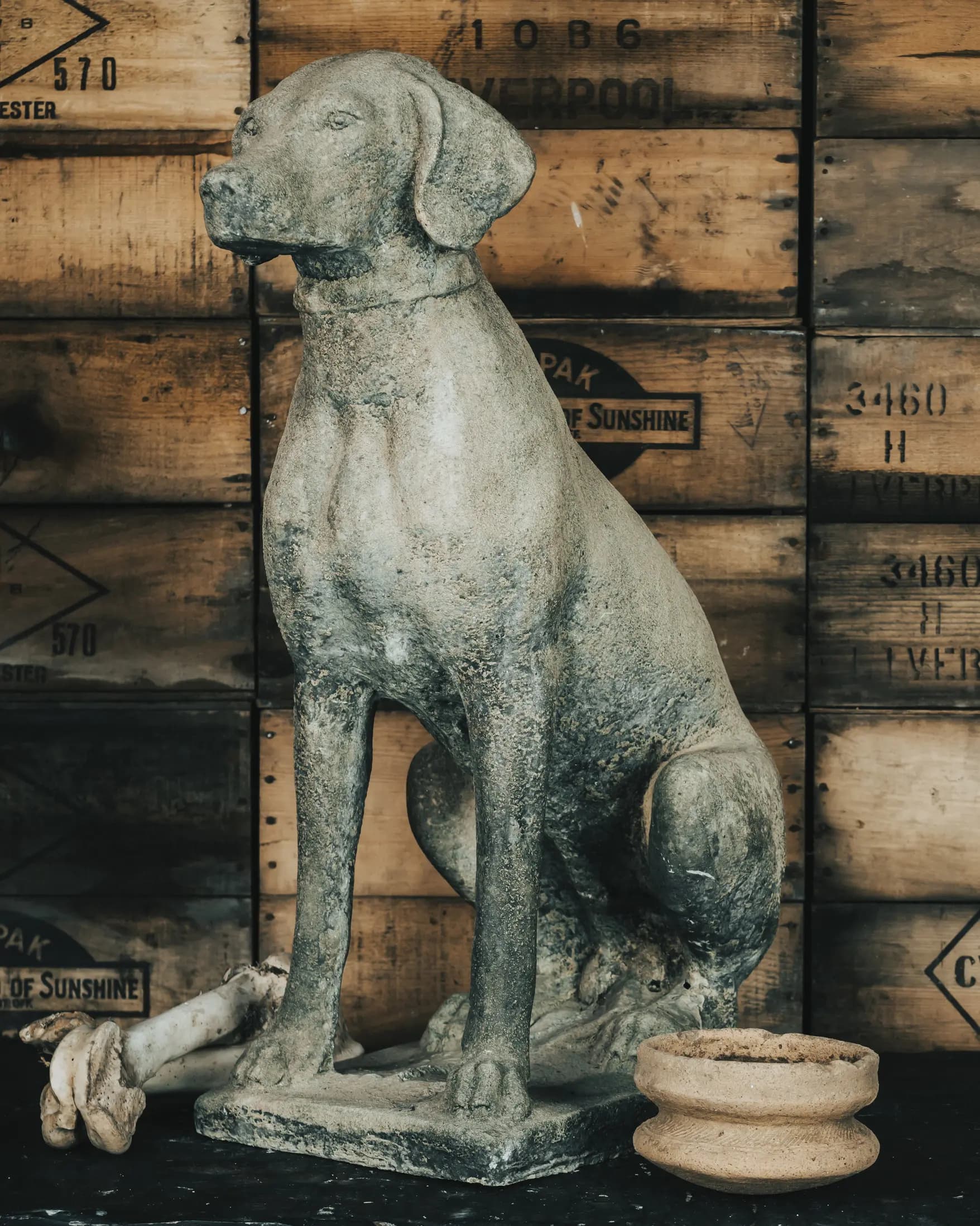 Sitting dog statue front